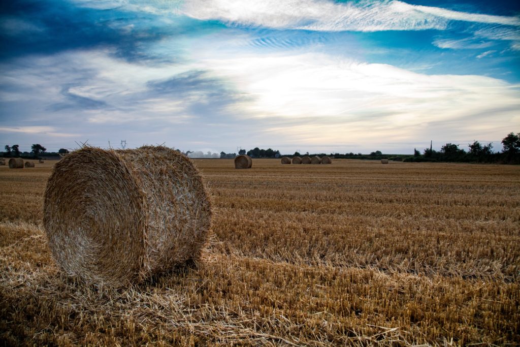 agriculture in Europe