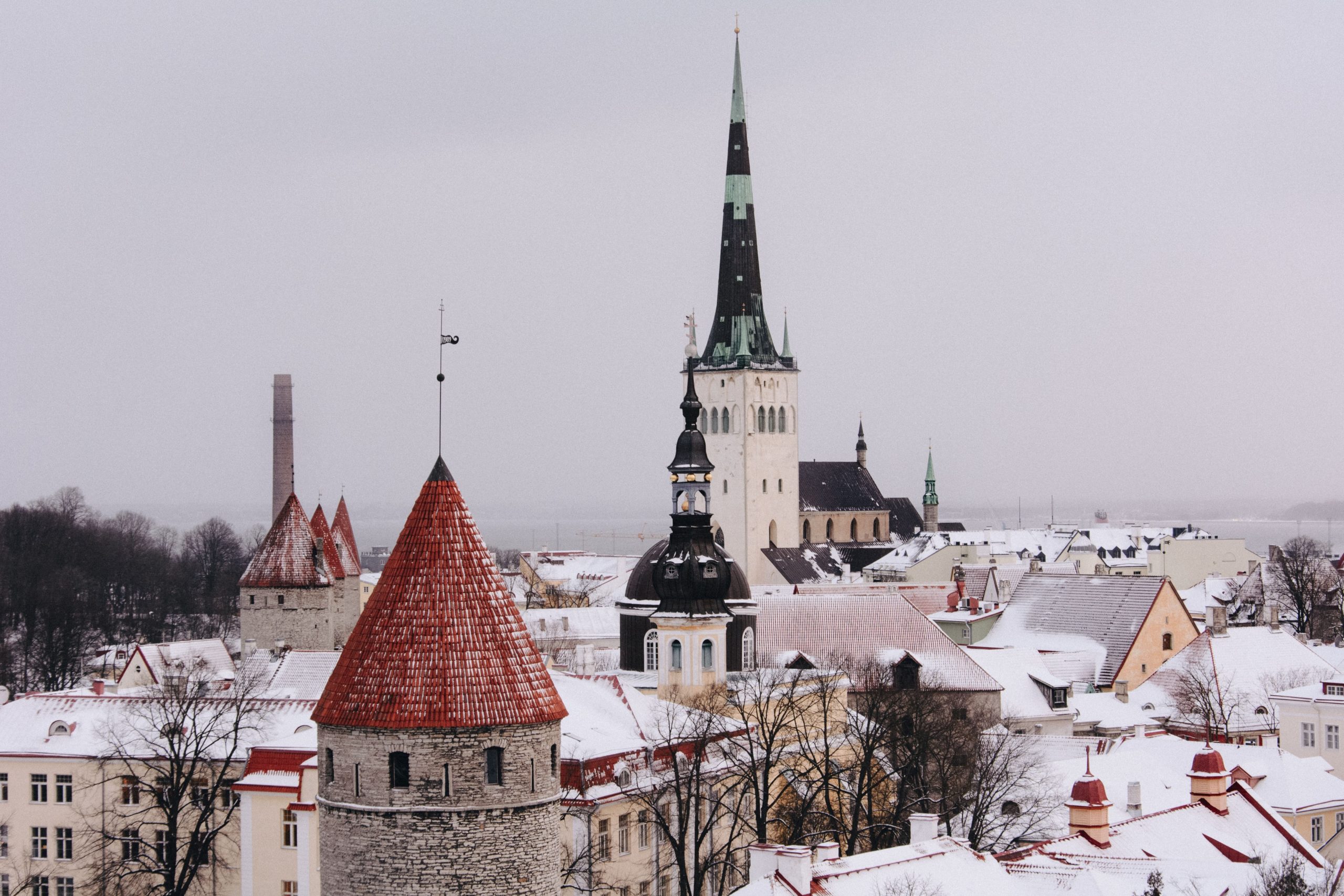 Getting Estonia S Passport Immigration Residency Blog   Adli Wahid T3R8VatSAeo Unsplash 1 1 Scaled 